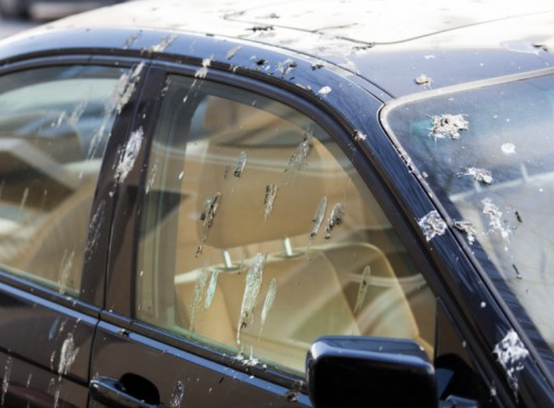 How to remove bird poo from your car