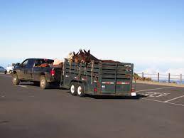 What to check before towing